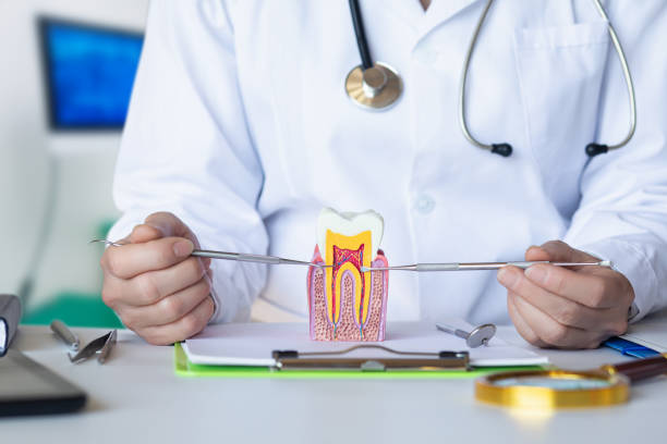 Best Emergency Tooth Extraction in Mcadenville, NC